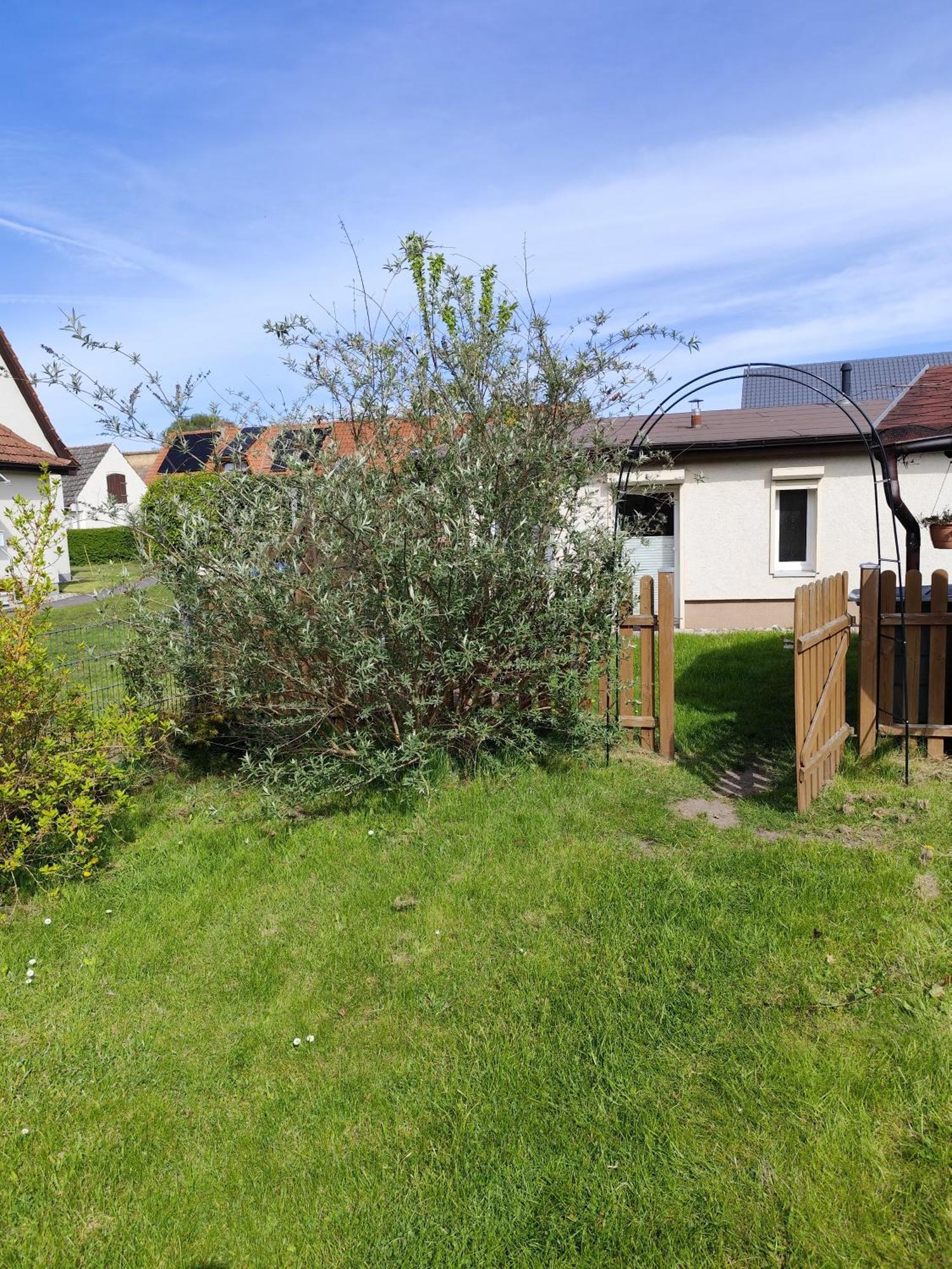Sonnengarten Uckeritz Kültér fotó